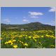 02_Milseburg im Fruehling.html